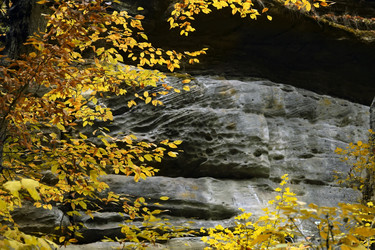 Similar image 217619