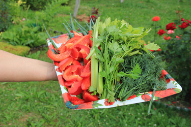 Similar image 217635