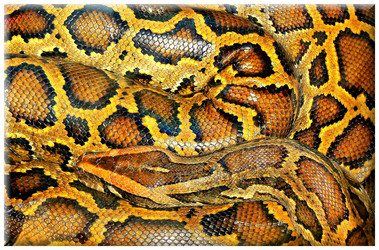 Similar image 217636