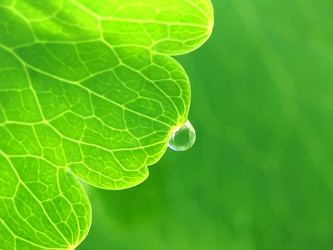 Similar image 217655