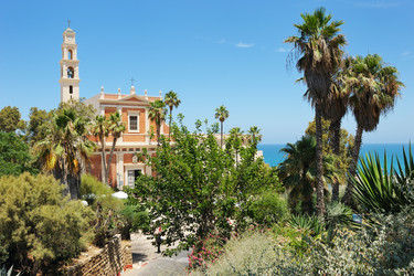 Similar image 217661