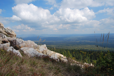 Similar image 217664