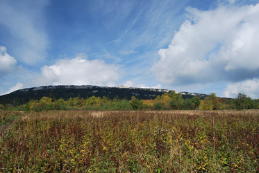 Similar image 217667