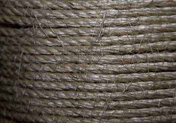 Similar image 217692