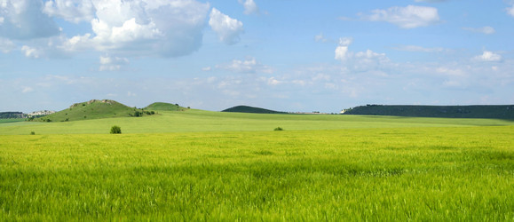 Similar image 217708