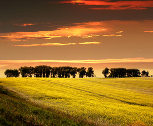 Similar image 217709