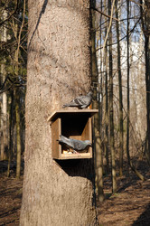 Similar image 217727