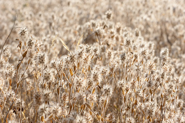 Similar image 217728