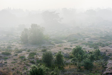 Similar image 217733