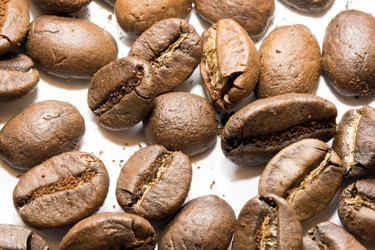 Similar image 217760