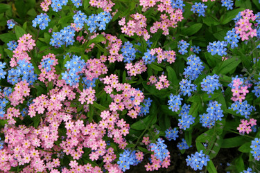 Similar image 217782