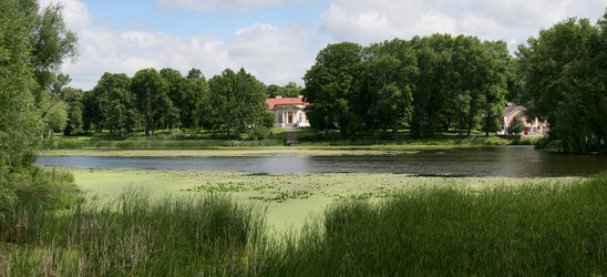 Similar image 217783