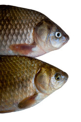 Similar image 217790