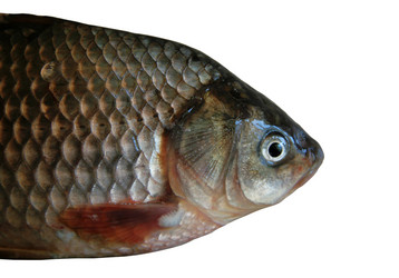 Similar image 217791