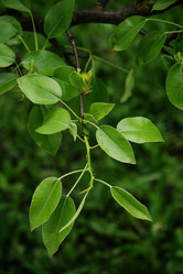 Similar image 217793