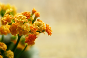 Similar image 217820