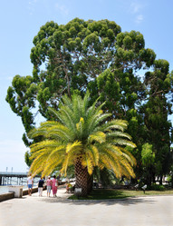 Similar image 217822