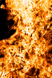 Similar image 217824