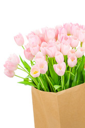 Similar image 217833