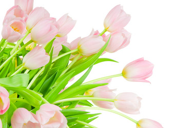 Similar image 217837