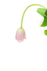 Similar image 217838