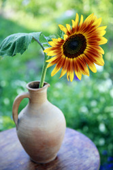 Similar image 217854