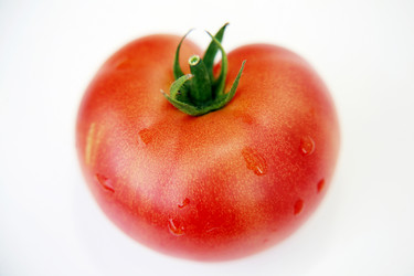 Similar image 217859