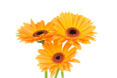 Similar image 217865