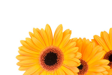 Similar image 217866