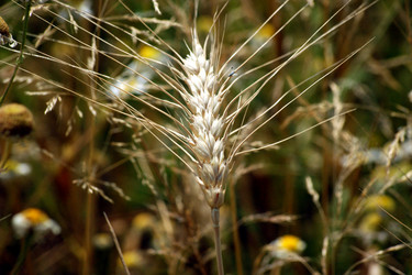 Similar image 217878