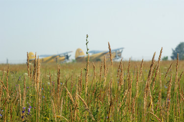 Similar image 217879