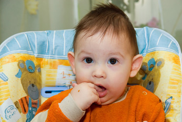 Similar image 217892