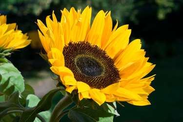 Similar image 217919