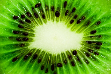 Similar image 217940