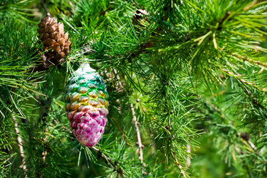 Similar image 217947