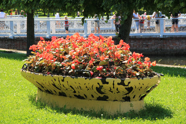 Similar image 217958