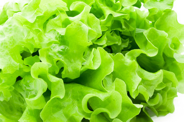 Similar image 217959