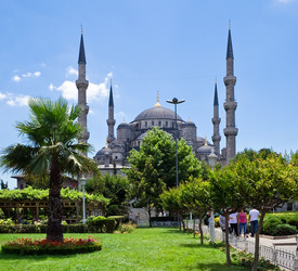 Similar image 217960