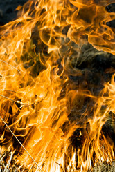 Similar image 217965