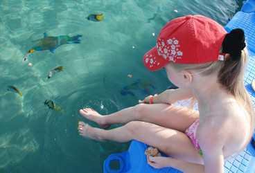 Similar image 217995