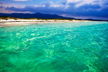 Similar image 218027