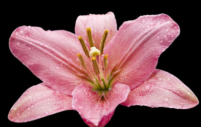 Similar image 218037