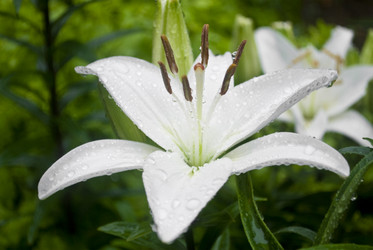 Similar image 218039