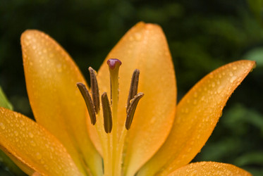 Similar image 218041