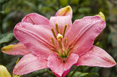 Similar image 218042