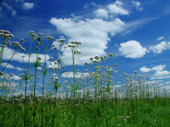 Similar image 218051