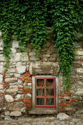 Similar image 218075