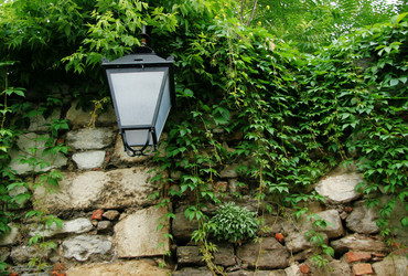 Similar image 218076