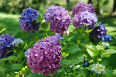 Similar image 218104