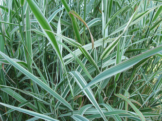 Similar image 218109